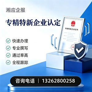 秦皇岛专精特新企业申报服务