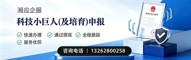 秦皇岛科技小巨人及培育企业申报服务