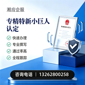秦皇岛专精特新小巨人申报服务