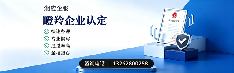 秦皇岛瞪羚企业认定申报服务