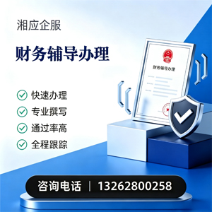 秦皇岛财务辅导申请服务