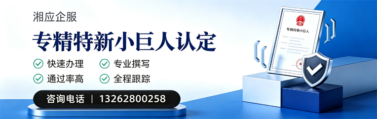 秦皇岛专精特新小巨人申报服务
